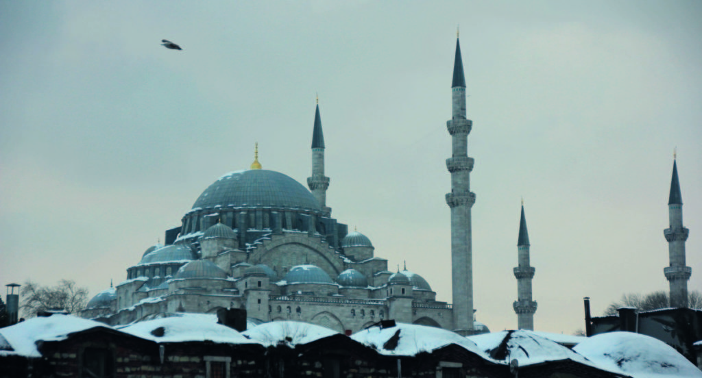 Eyüpsultan’da Bir Siyaset Bilimci: İdris-i Bitlisi